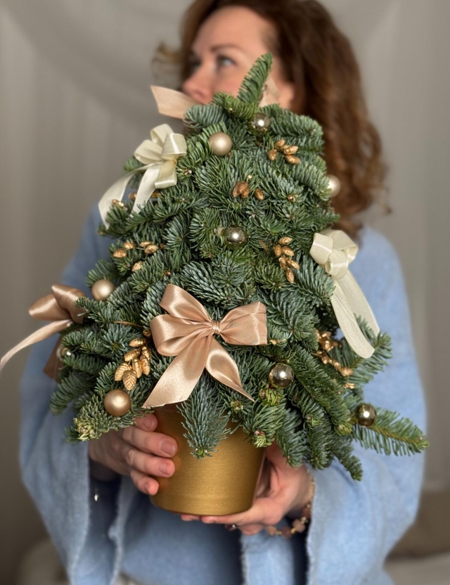 Композиция №411 новогодняя коллекция "Лесное Рождество"