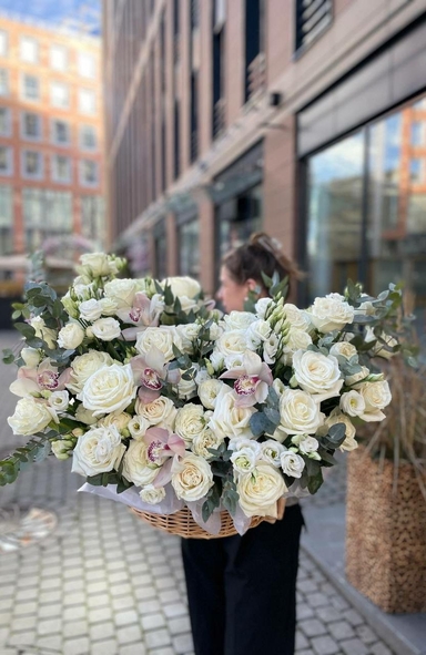 Весь каталог Весь каталог